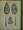 Természettudományi Közlöny 1908. január-december 