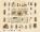 Áldássy Antal, Ábrányi Kornél, Aczél Károly, Ágoston József,  - A Pallas Nagy Lexikona I-XVIII. – Aukció – 21. online aukció, 2023. 09.