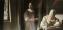Vermeer (védődobozos példány)