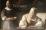 Vermeer (védődobozos példány)