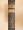 Clericus instructus V.