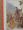 A Falcon for a Queen/Meeting with a Great Beast/Blockbuster/The Shape of Illusion/Duel in the Snow