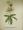 British Botanists