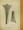 Anatomischer Atlas für studierende und Ärzte I. 