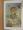 Természettudományi Közlöny 1897. január-december/Pótfüzetek a Természettudományi Közlönyhöz 1897. január-december