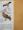 The Mitchell Beazley Pocket Guide to Birds of Prey of the World