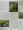 Encyclopedia of Herbs & Their Uses