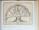 History of Information Graphics