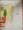 Feng Shui for your Home