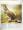 Mammals: Primates Insect-Eaters and Baleen Whales