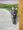Nicholas Nickleby - CD-vel