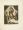 Die Madonna
