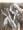 Rodin