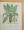 The Book of Plants – Aukció – 
