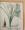 The Book of Plants – Aukció – 