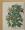 The Book of Plants – Aukció – 