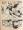 Pif 22 Aout 1965