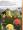 Bird surprise - DVD-lemezzel