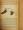 A Pocket Guide to Birds
