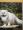 Illustrated Catwatching