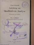 Anleitung zur Qualitativen Analyse