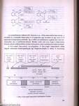 Kémiai Közlemények 63-64. kötet 1-2.