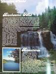 West Virginia State Parks & Forests