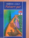 Felvert por