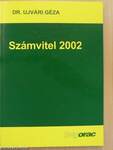 Számvitel 2002