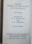 Pocket Russian-English Dictionary (minikönyv)