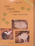 Cézár, Cilamila és a többiek - avagy a macska lelke - DVD-vel
