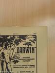 "Darwin" 1915. május 1.