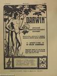 "Darwin" 1915. julius 1.