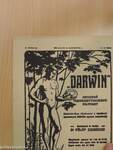 "Darwin" 1915. julius 15., augusztus 1.