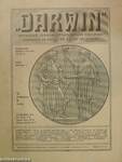"Darwin" 1916. február 1.