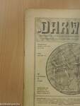 "Darwin" 1916. február 15.