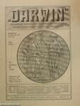 "Darwin" 1916. junius 1.