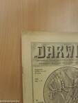 "Darwin" 1916. aug. 1-15.