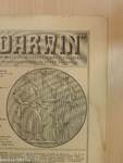 "Darwin" 1916. október 1.