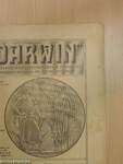 "Darwin" 1916. dec. 1.