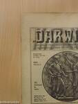 "Darwin" 1917. február 15.