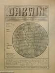 "Darwin" 1917. junius 1.
