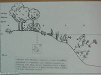 A Bakony hegység kétéltű és hüllő faunája (Amphibia, Reptilia)/Herpetológiai alapvetés