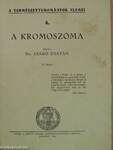 A kromoszóma