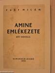 Amine emlékezete/Szakadék