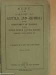 Guide to the Gallery of Reptilia and Amphibia in the Department of Zoology of the British Museum (Natural History)