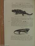 Guide to the Gallery of Reptilia and Amphibia in the Department of Zoology of the British Museum (Natural History)