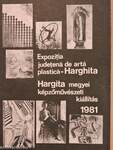 Hargita megyei képzőművészeti kiállítás 1981