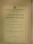 A brassói hegyek mezozoós faunája III-VII.