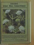 Schreibers kleiner Atlas: Sommerblumen (gótbetűs)